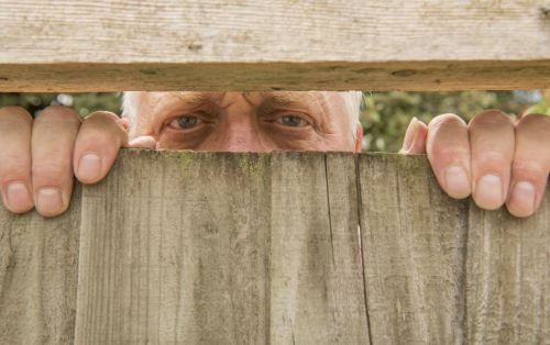 Mature man spying through a wooden fence in the garden Concept for blog: Understanding Easement Disputes and Boundary Disputes.